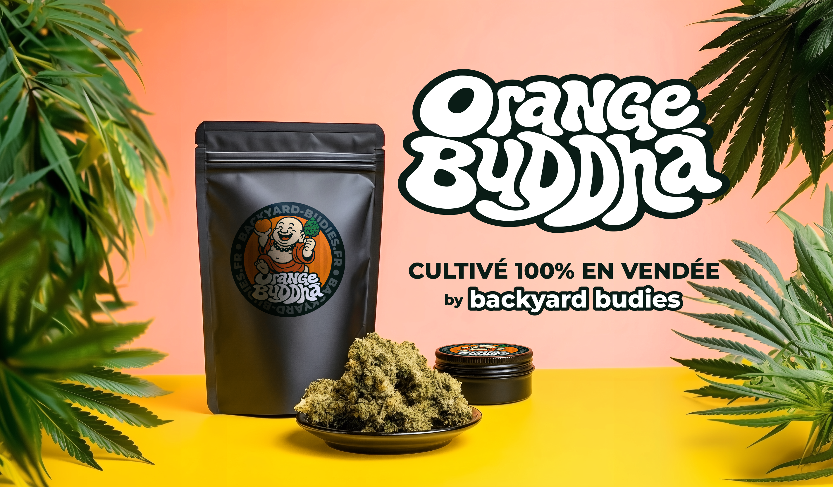 Rainbow Buddha — Cultiv&eacute; 100% en Vend&eacute;e by Backyard Budies