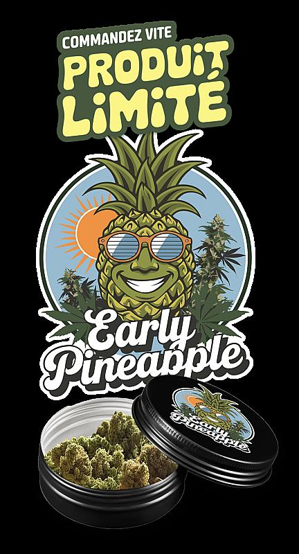 Early Pineapple