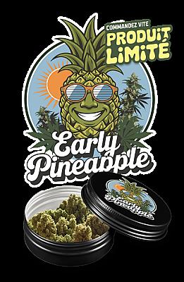 Early Pineapple